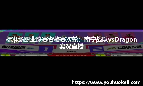 标准场职业联赛资格赛次轮：南宁战队vsDragon实况直播